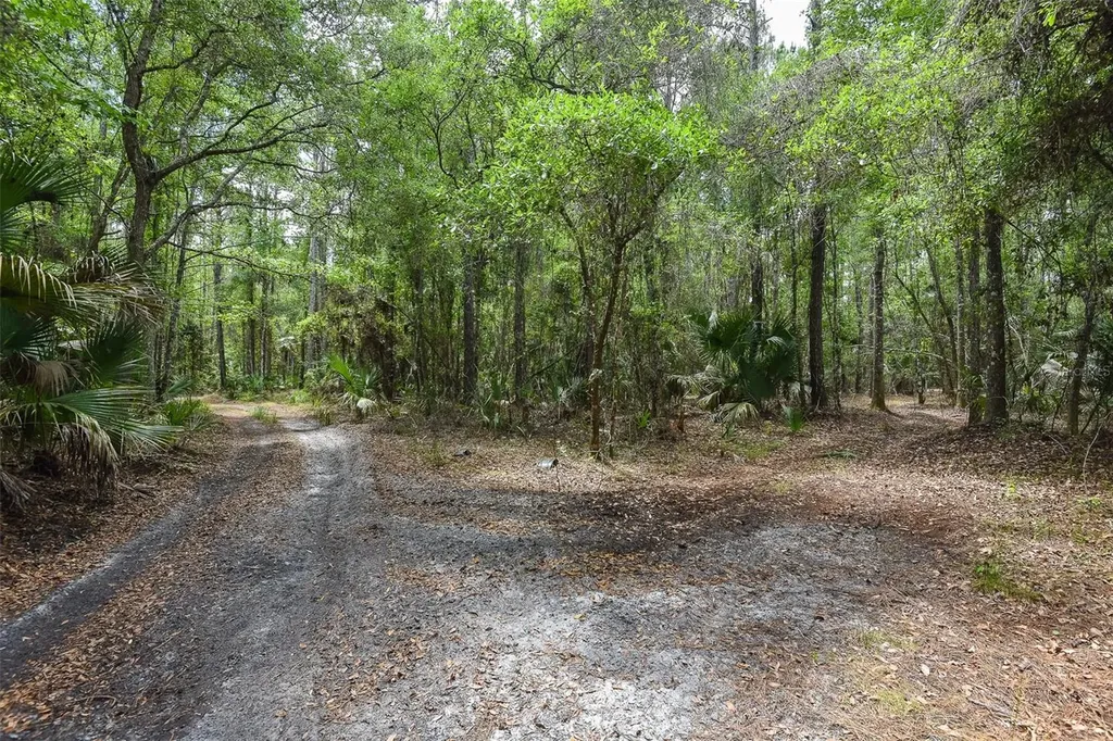 1851 Maytown Road Oak Hill FL 32759