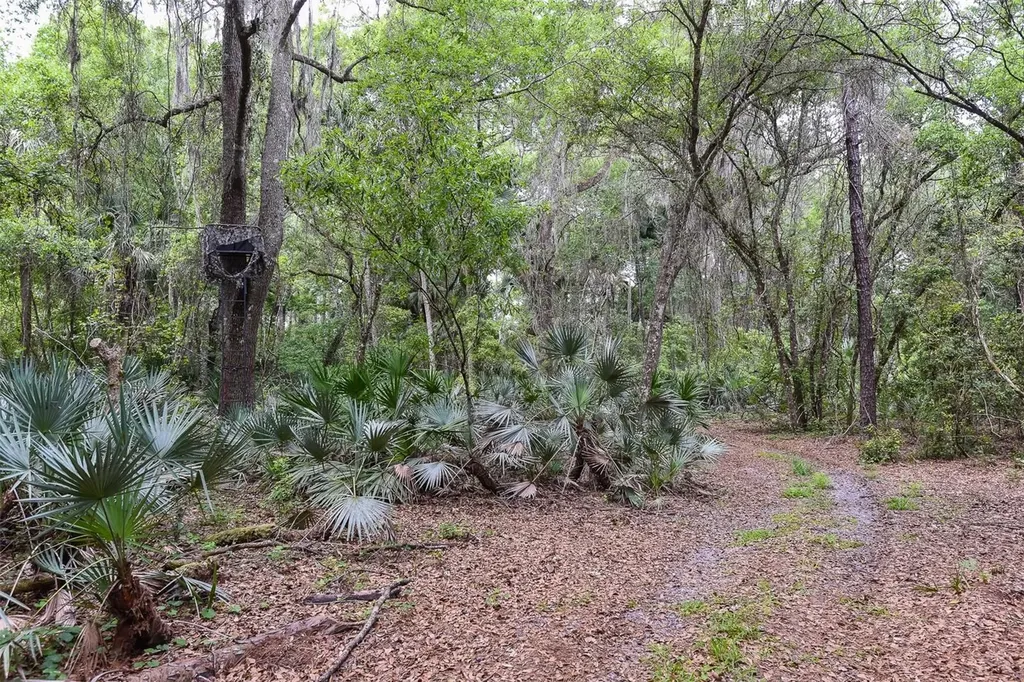 1851 Maytown Road Oak Hill FL 32759
