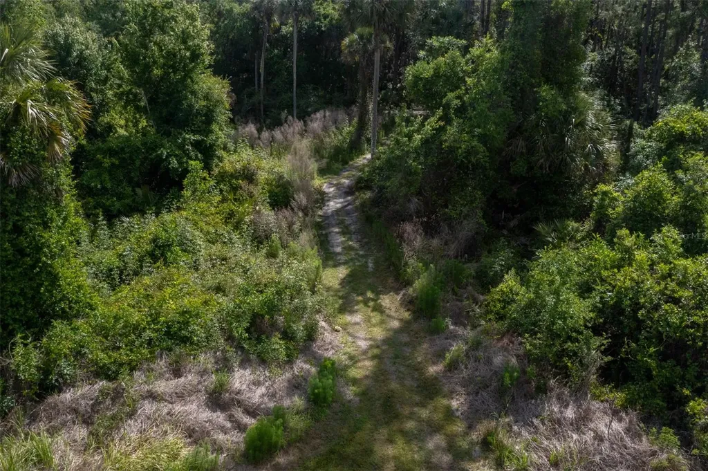 1851 Maytown Road Oak Hill FL 32759