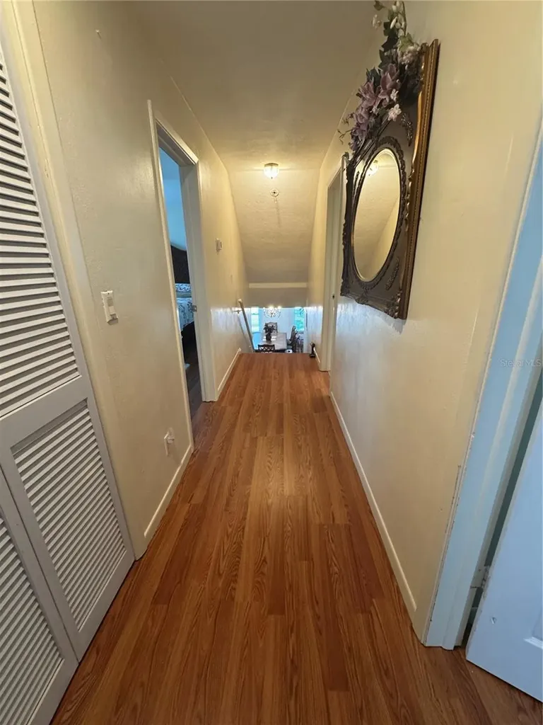 3146 Carlos Drive Dunedin FL 34698