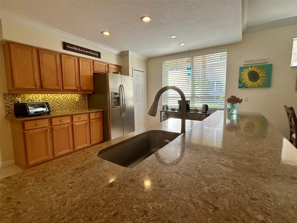 4244 Preserve Place Palm Harbor FL 34685