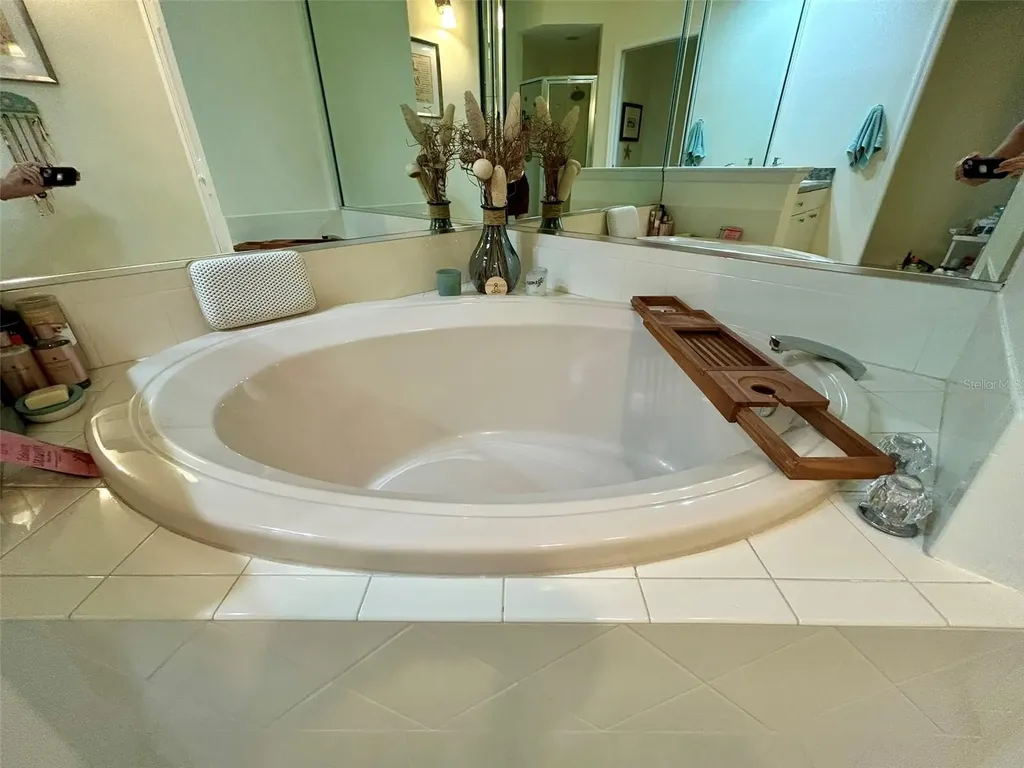 4244 Preserve Place Palm Harbor FL 34685