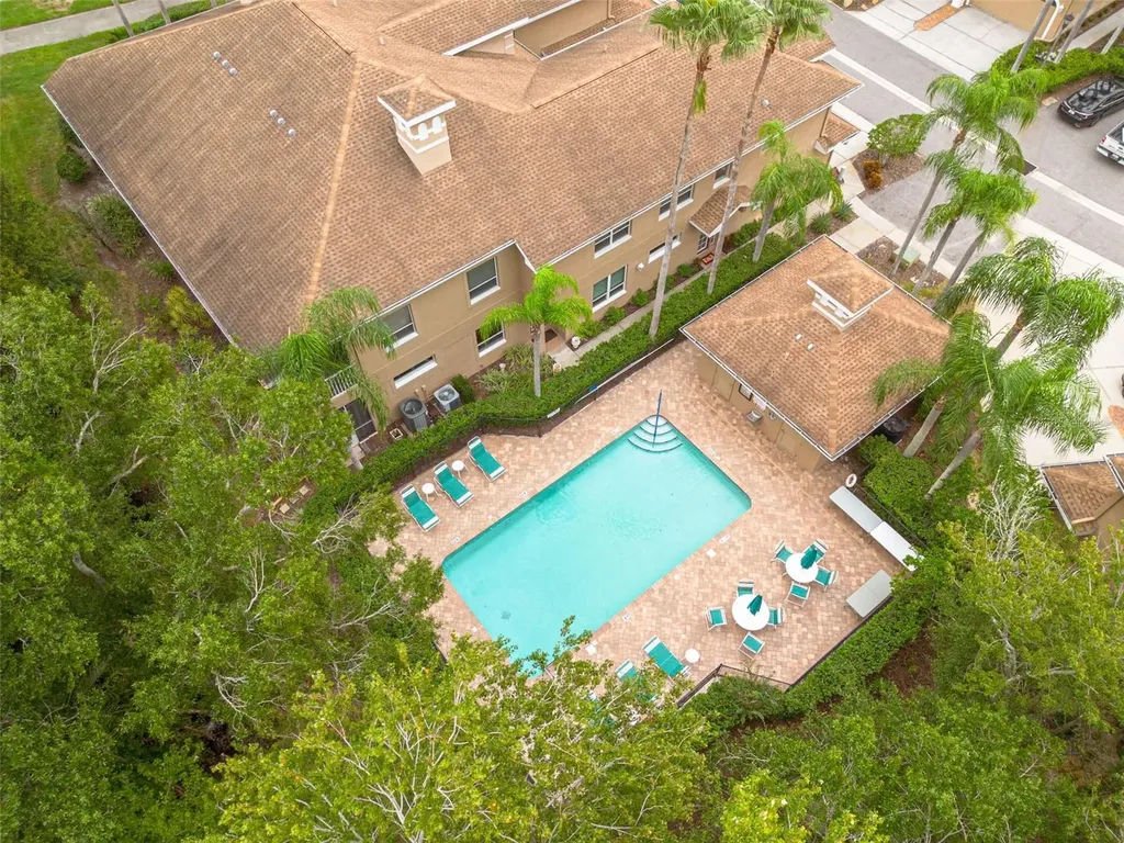 4244 Preserve Place Palm Harbor FL 34685