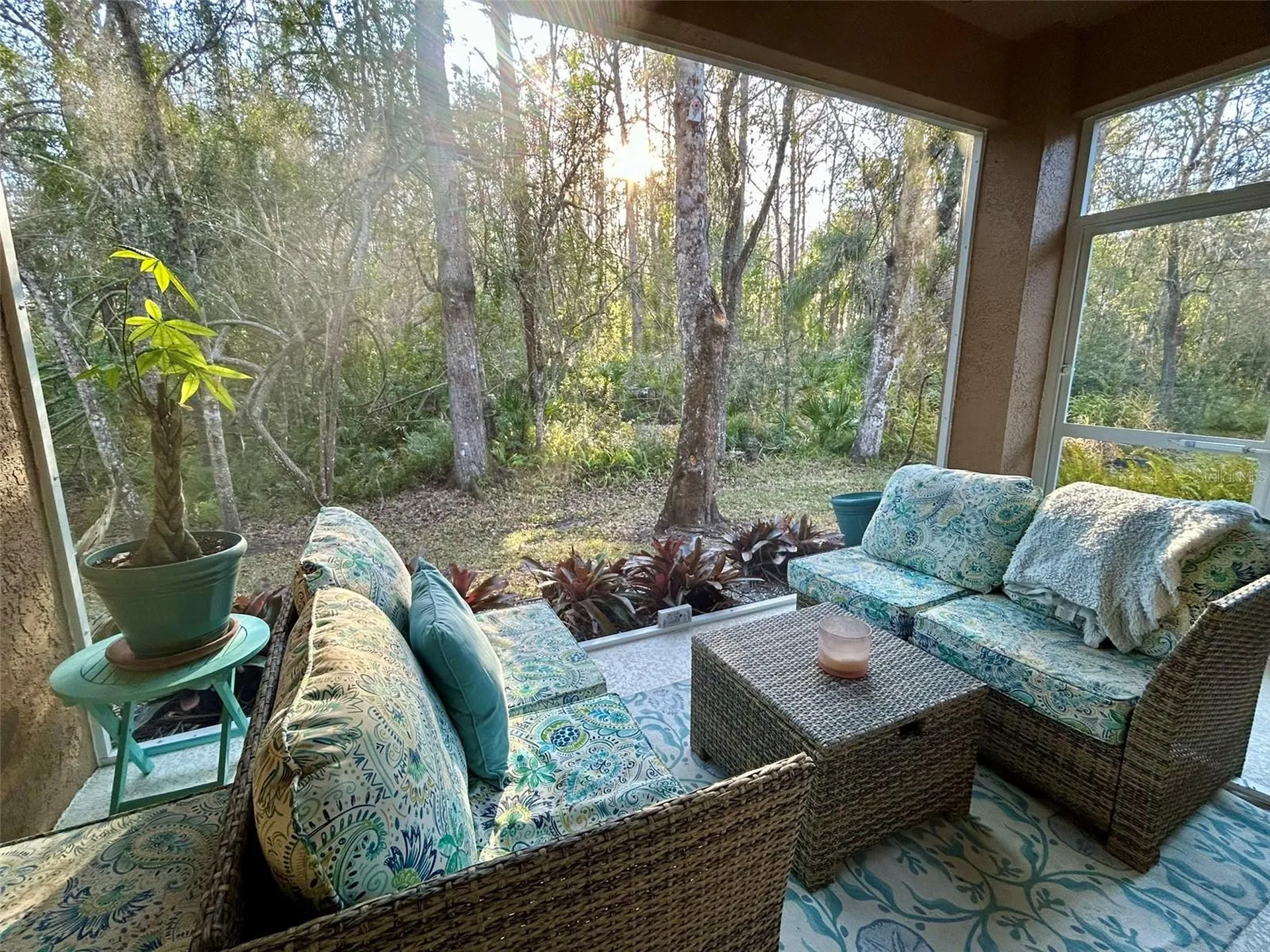 4244 Preserve Place Palm Harbor FL 34685