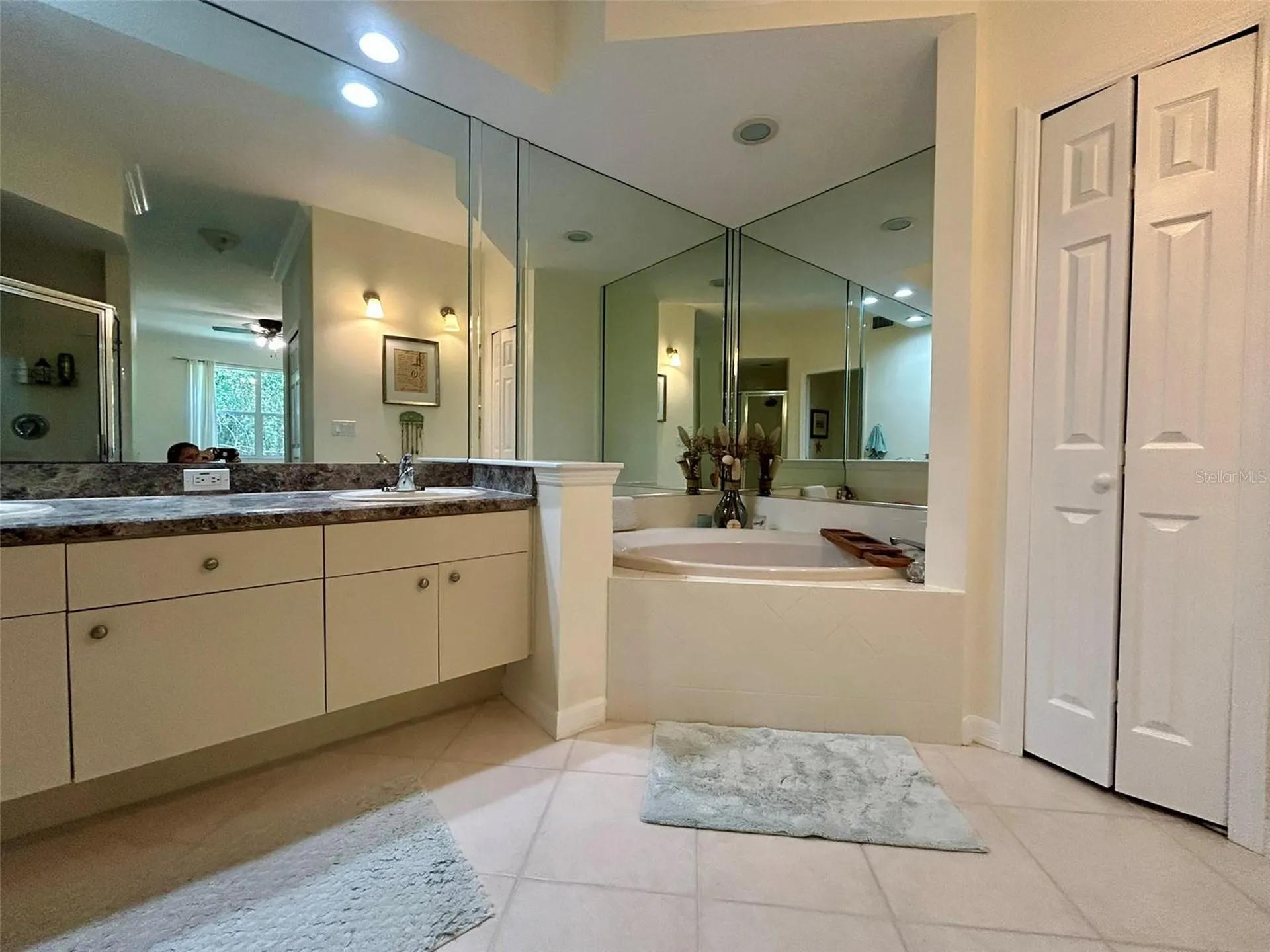 4244 Preserve Place Palm Harbor FL 34685