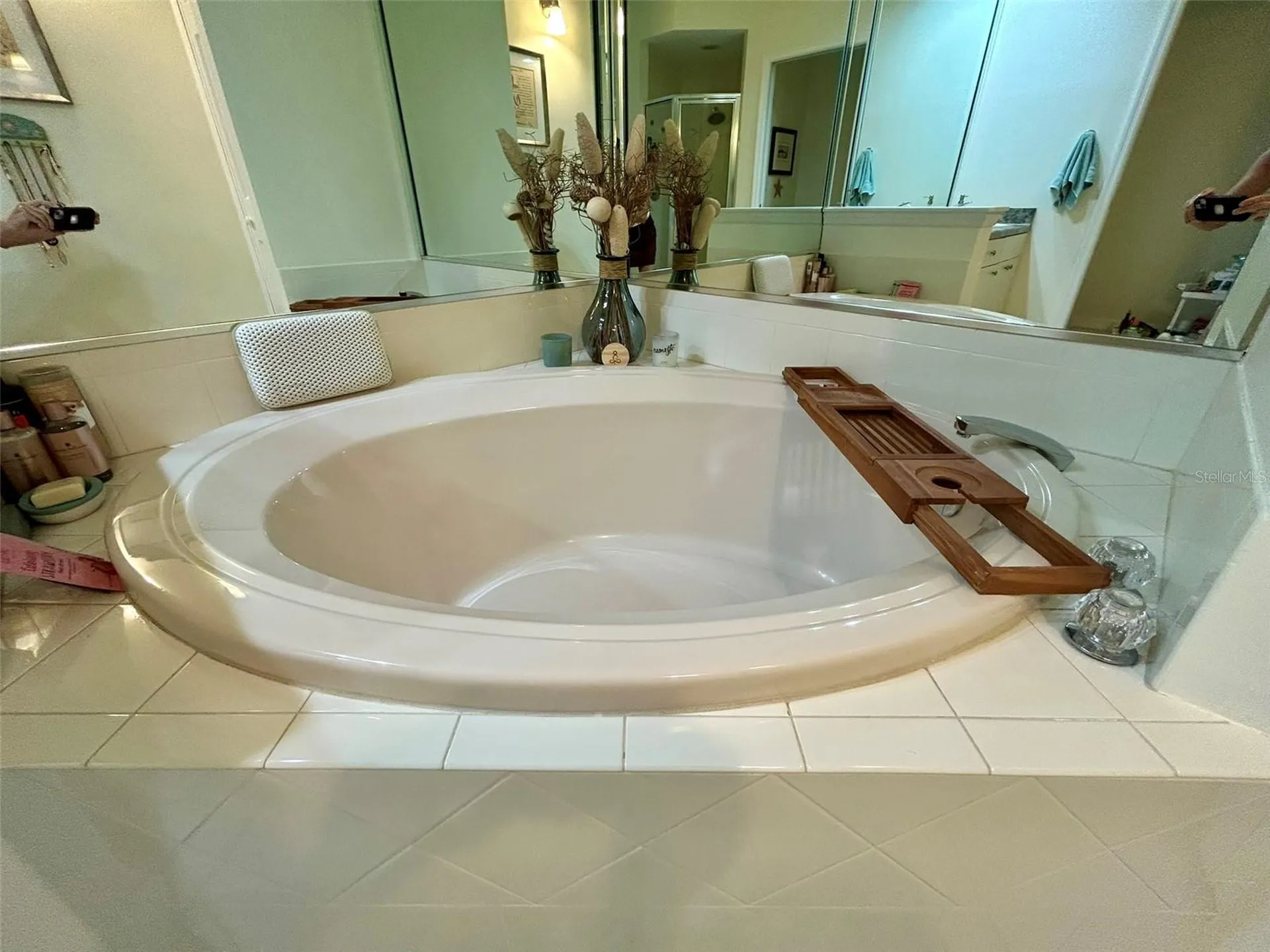 4244 Preserve Place Palm Harbor FL 34685