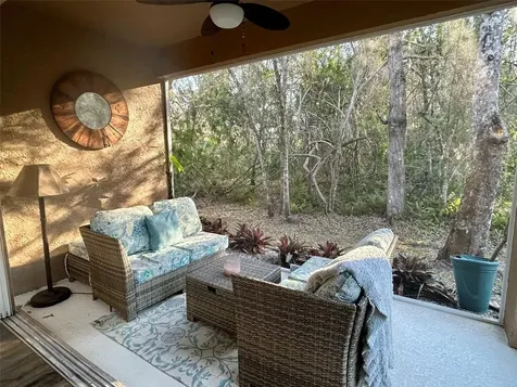 4244 Preserve Place Palm Harbor FL 34685