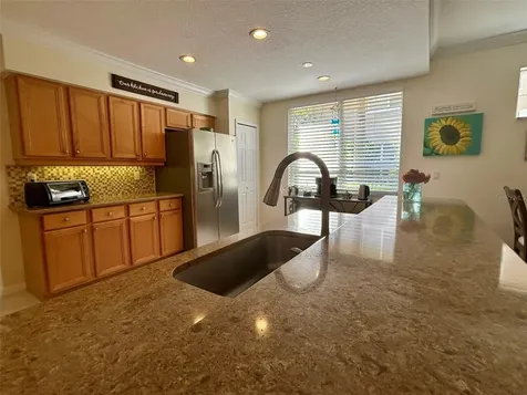 4244 Preserve Place Palm Harbor FL 34685