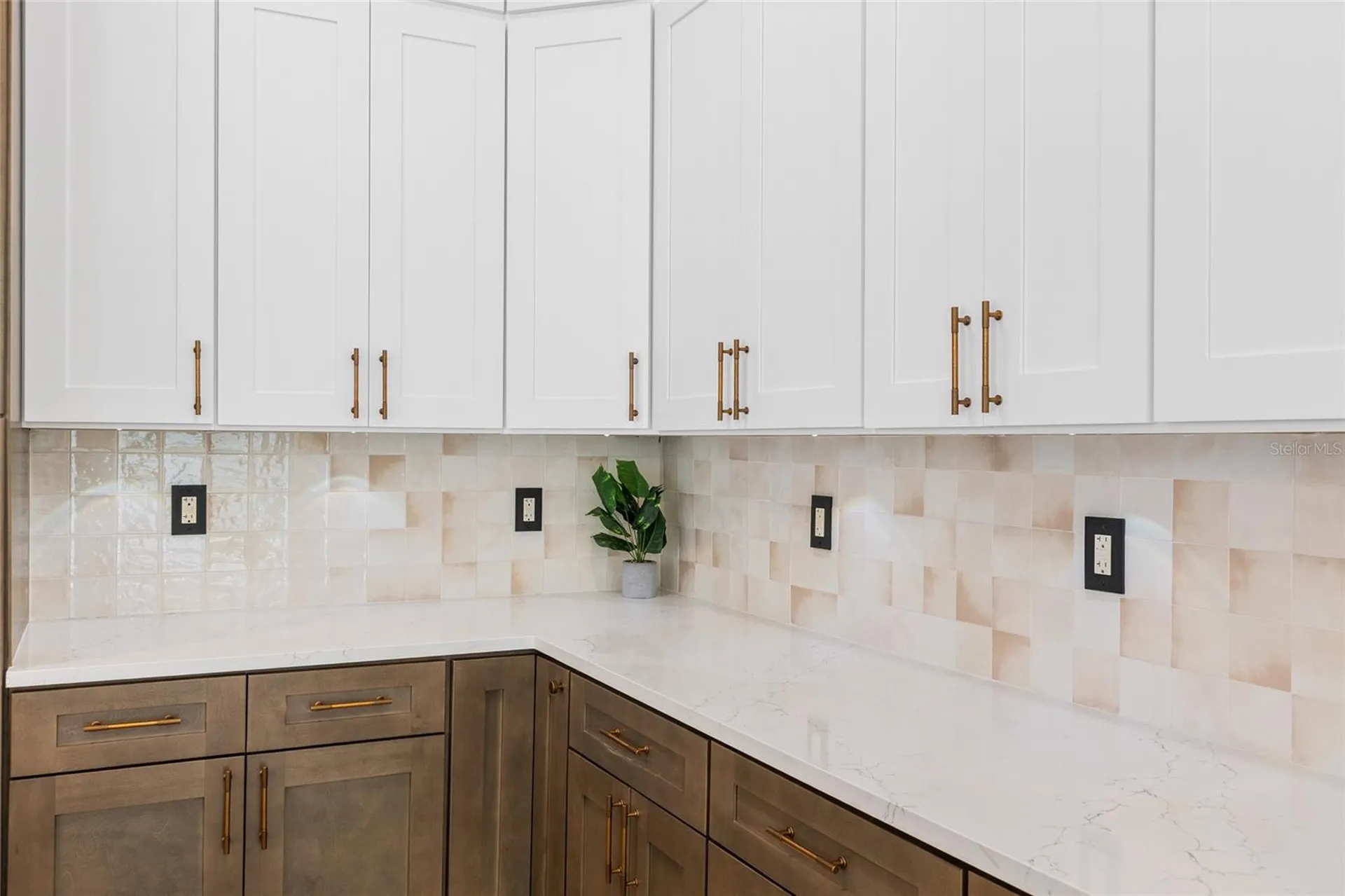 1534 E Lake Woodlands Parkway Oldsmar FL 34677
