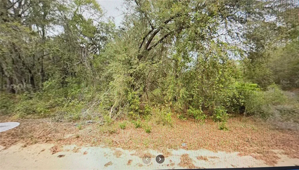 00 Elizabeth Ci Interlachen FL 32148