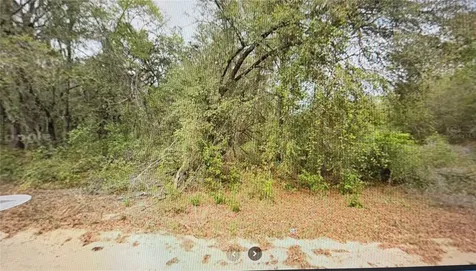 00 Elizabeth Ci Interlachen FL 32148