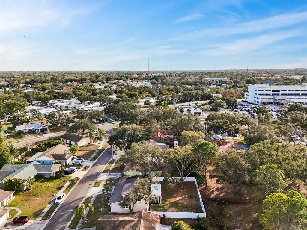 3309 Briarwood Lane Safety Harbor FL 34695