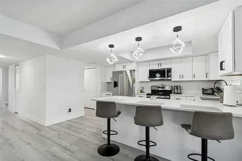 3309 Briarwood Lane Safety Harbor FL 34695