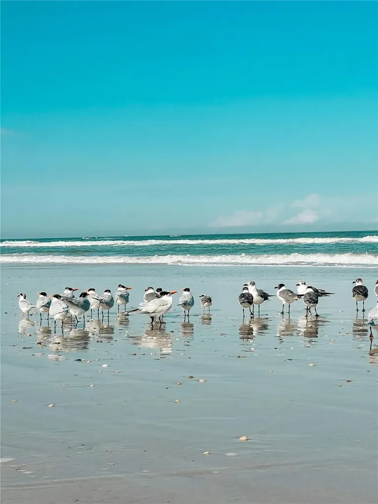 67 Alberta Avenue Ponce Inlet FL 32127