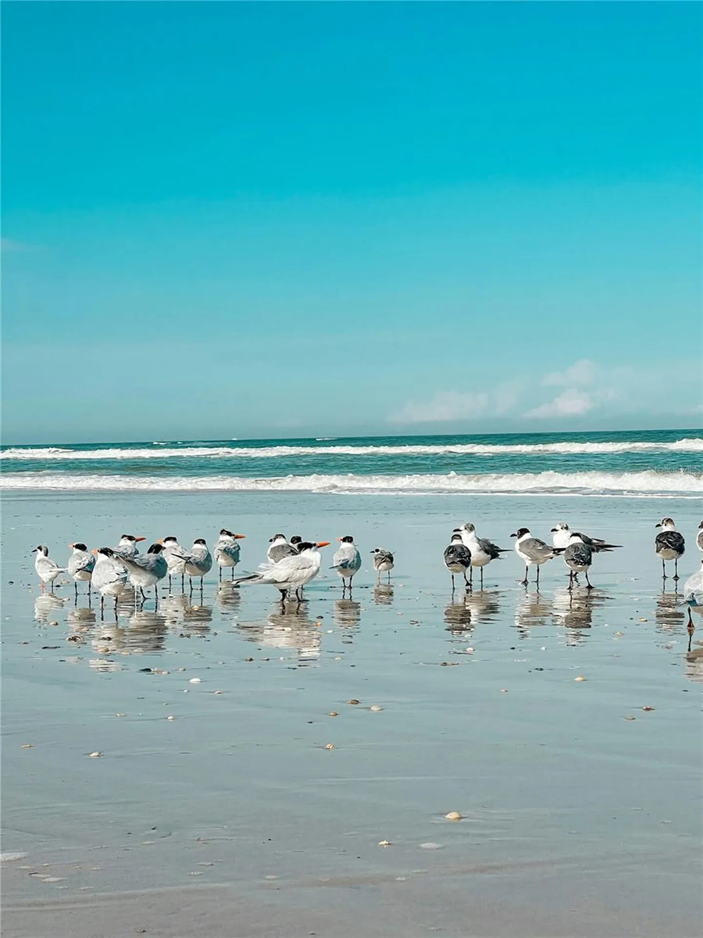 67 Alberta Avenue Ponce Inlet FL 32127