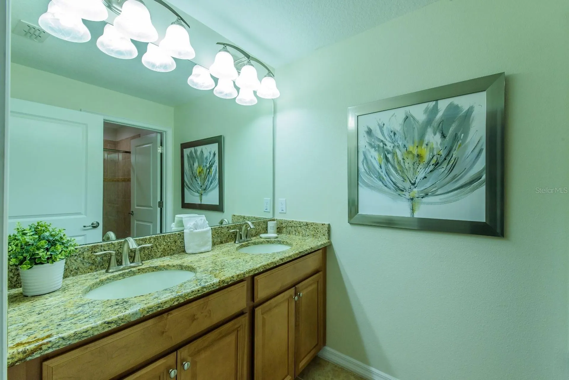 4821 Brier Rose Lane Kissimmee FL 34746