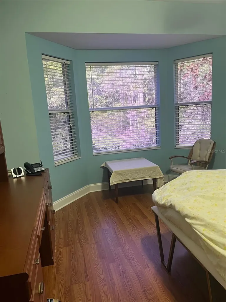 7245 Cleopatra Drive Land O Lakes FL 34637