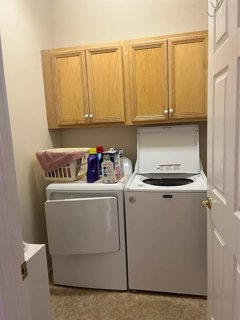 7245 Cleopatra Drive Land O Lakes FL 34637