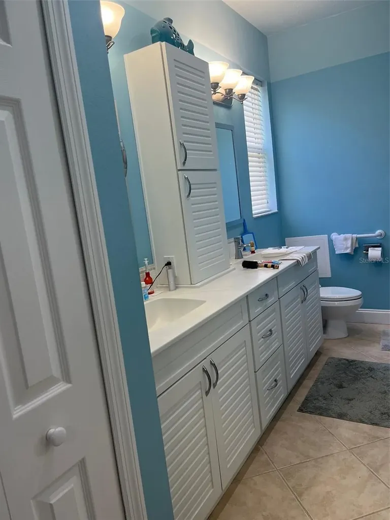 7245 Cleopatra Drive Land O Lakes FL 34637