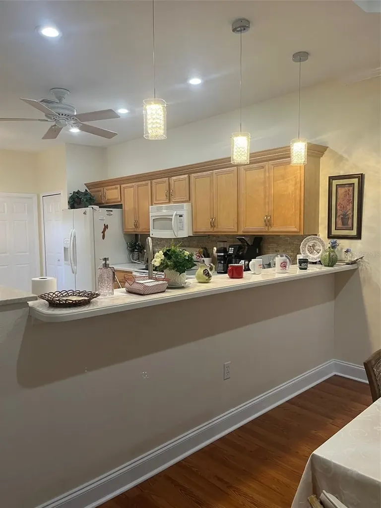 7245 Cleopatra Drive Land O Lakes FL 34637