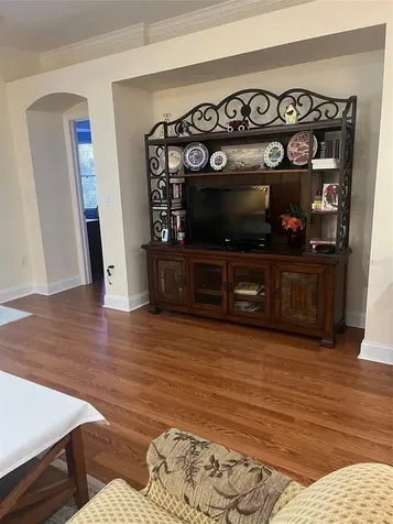 7245 Cleopatra Drive Land O Lakes FL 34637