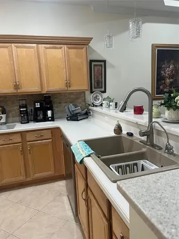 7245 Cleopatra Drive Land O Lakes FL 34637