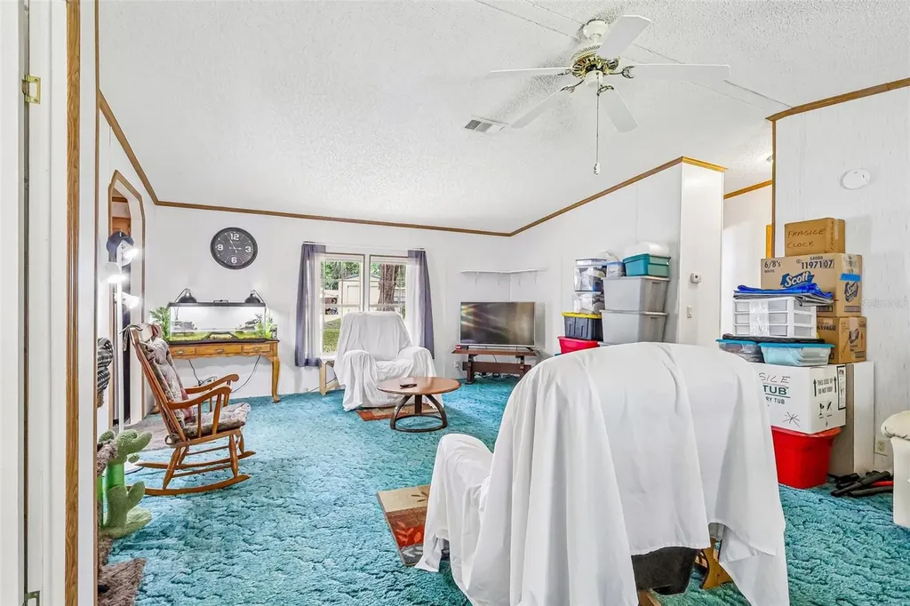 2903 Cr 426e Lake Panasoffkee FL 33538
