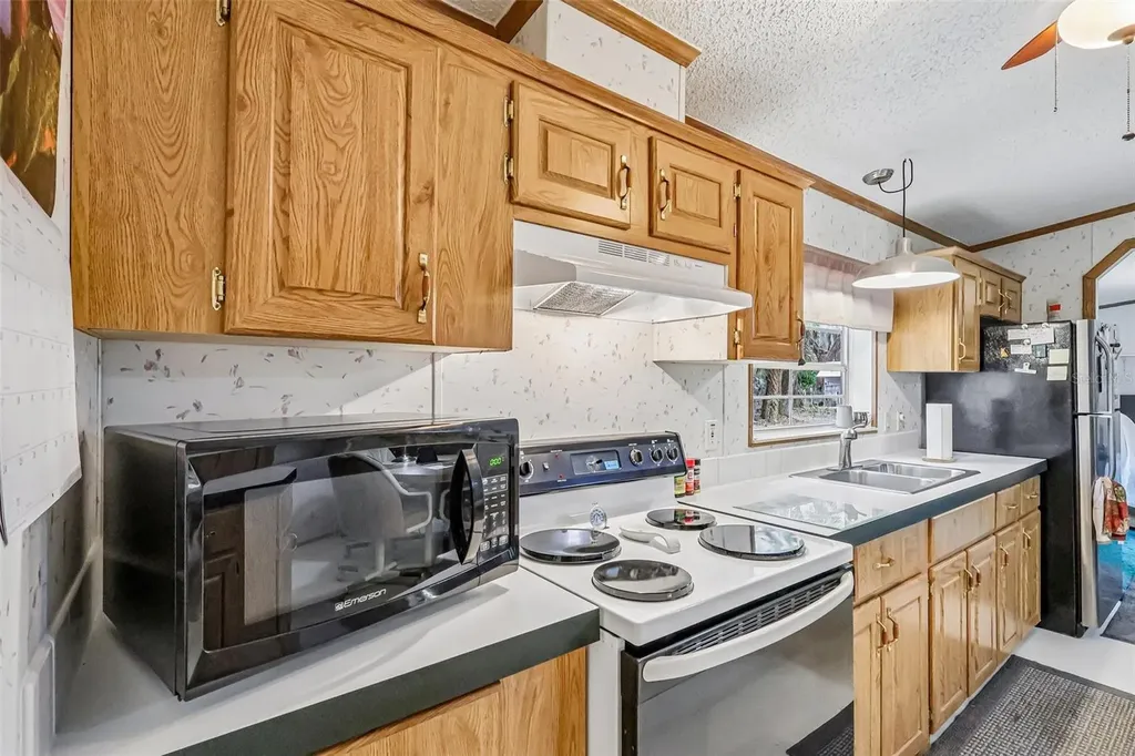 2903 Cr 426e Lake Panasoffkee FL 33538