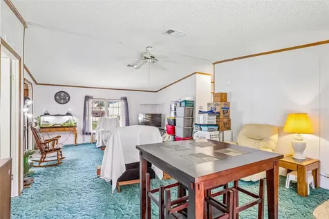 2903 Cr 426e Lake Panasoffkee FL 33538