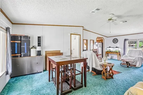 2903 Cr 426e Lake Panasoffkee FL 33538