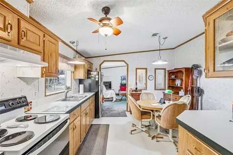 2903 Cr 426e Lake Panasoffkee FL 33538