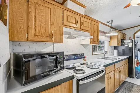 2903 Cr 426e Lake Panasoffkee FL 33538