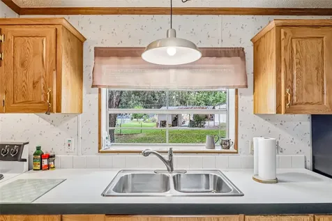 2903 Cr 426e Lake Panasoffkee FL 33538
