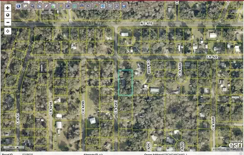 2903 Cr 426e Lake Panasoffkee FL 33538