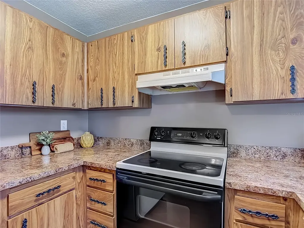 7310 Ivory Terrace New Port Richey FL 34655