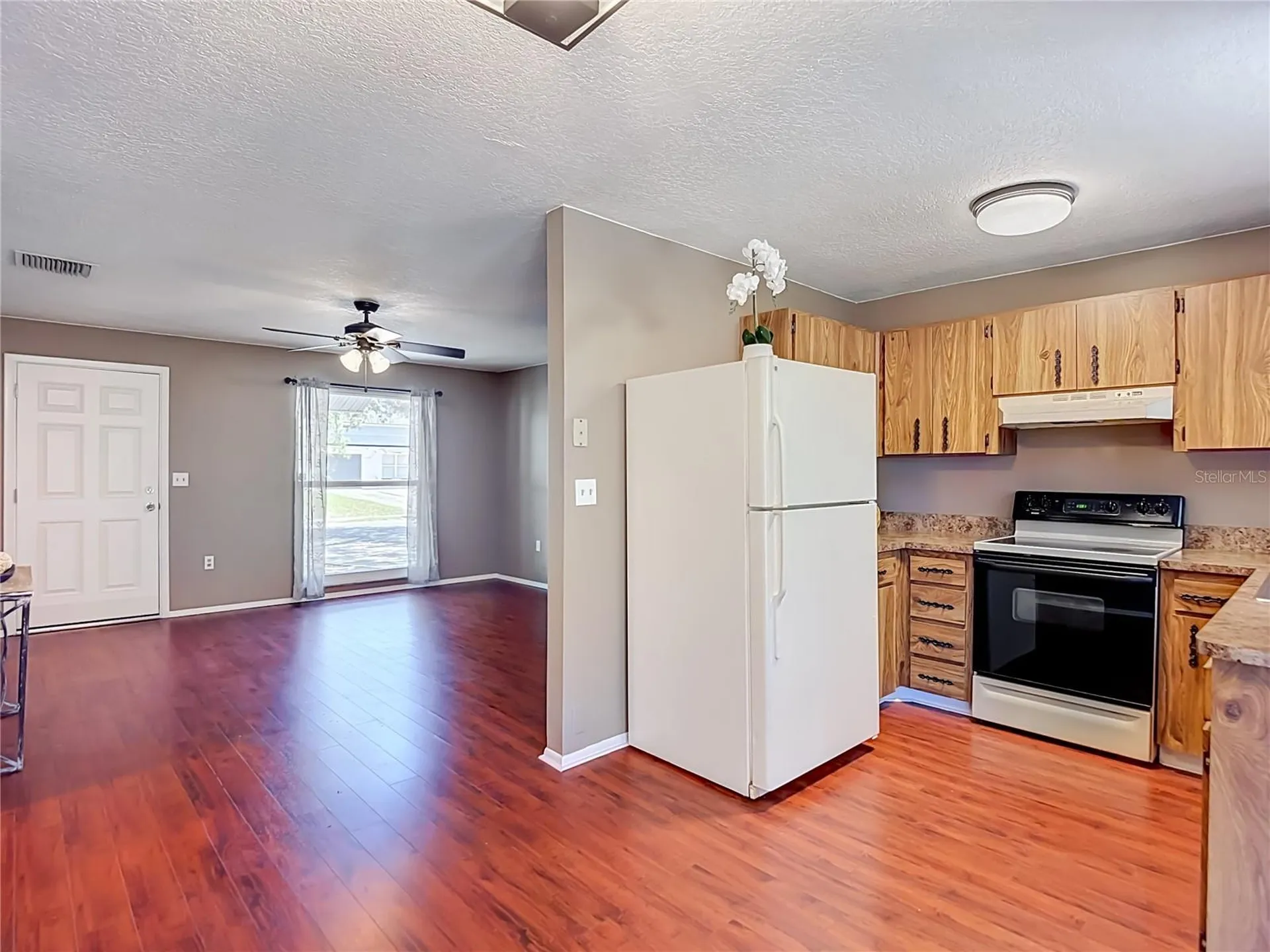 7310 Ivory Terrace New Port Richey FL 34655