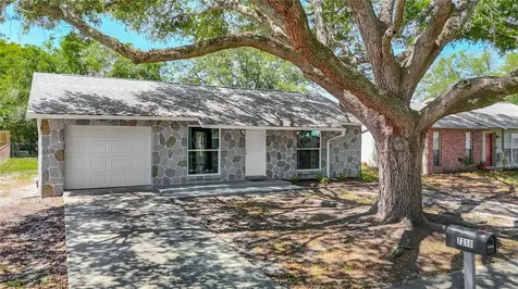 7310 Ivory Terrace New Port Richey FL 34655