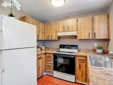 7310 Ivory Terrace New Port Richey FL 34655