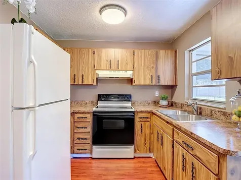 7310 Ivory Terrace New Port Richey FL 34655