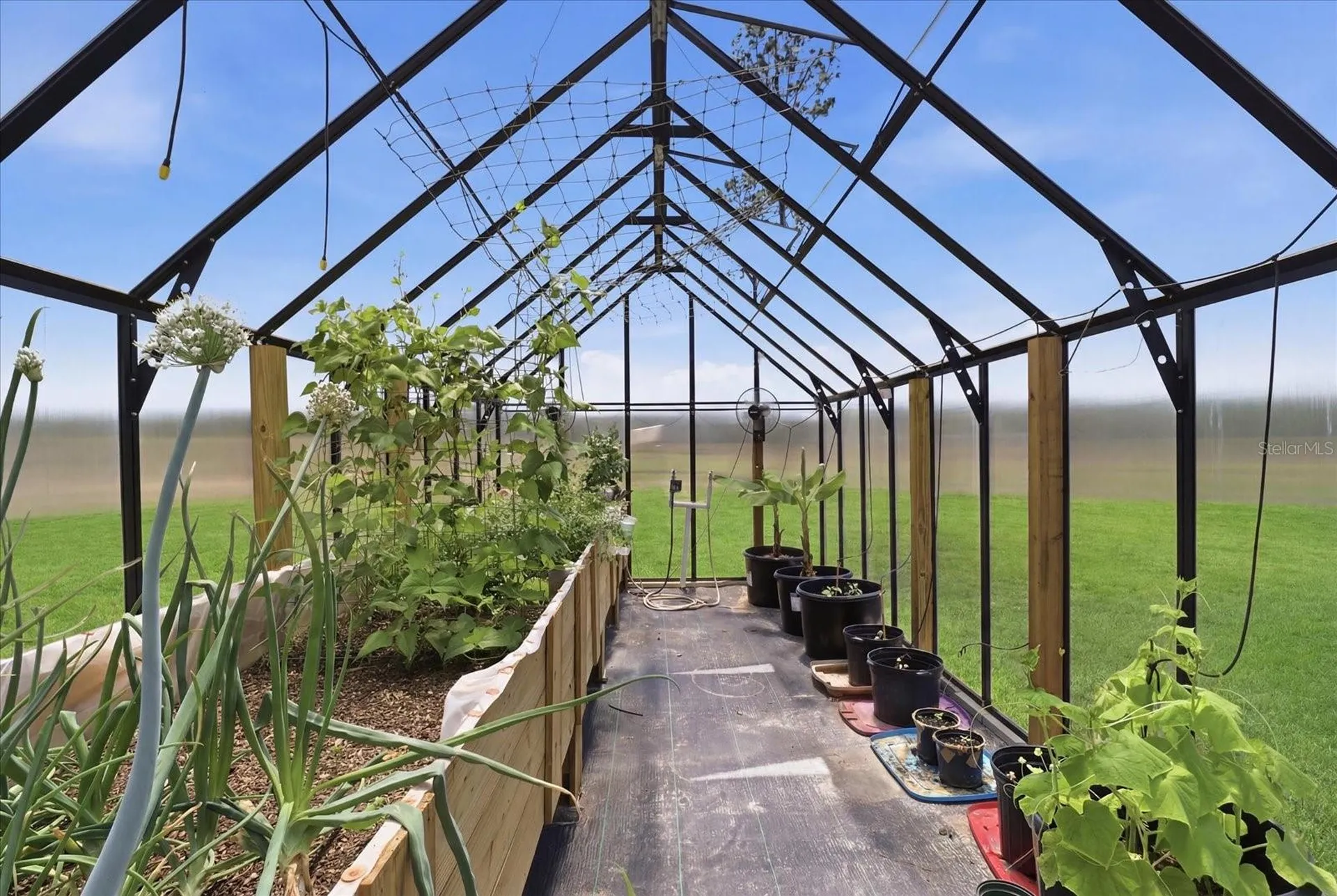 9560 N Parkwood Avenue Dunnellon FL 34433