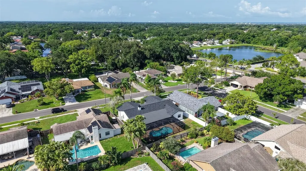 2135 Vance Avenue Palm Harbor FL 34683