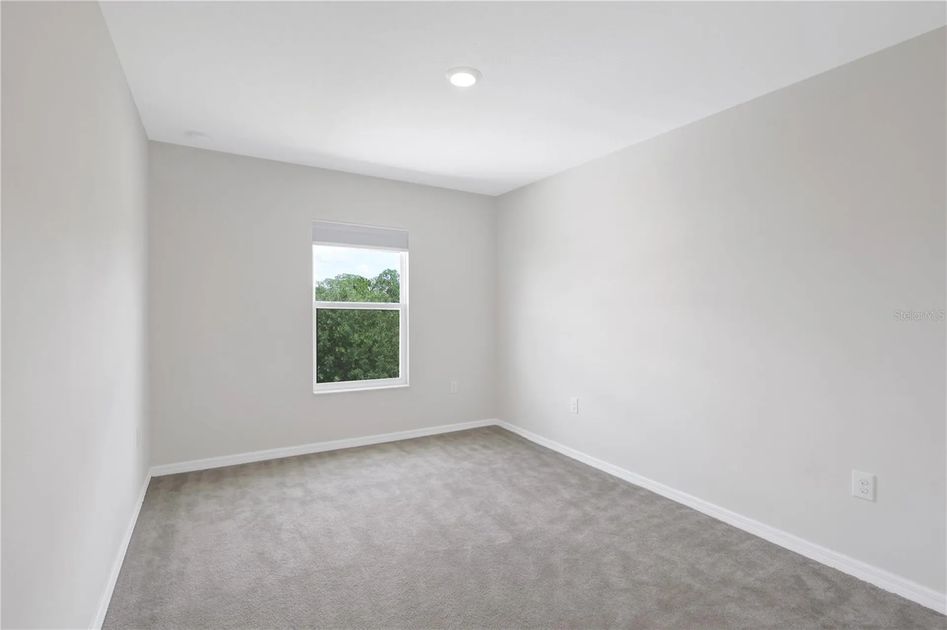 4225 Beargrass Street Clermont FL 34714