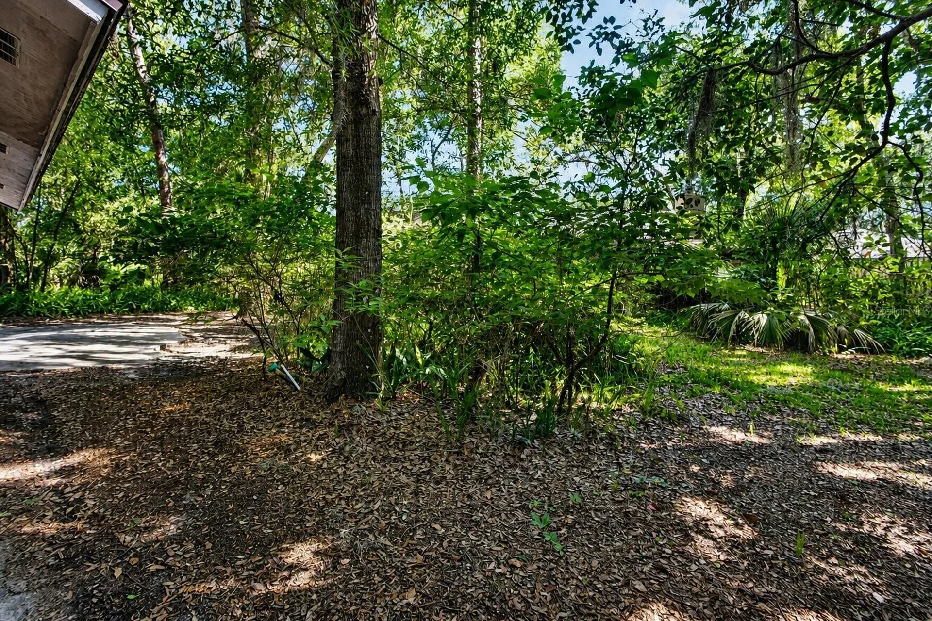 28 Ramblewood Trail Deland FL 32724