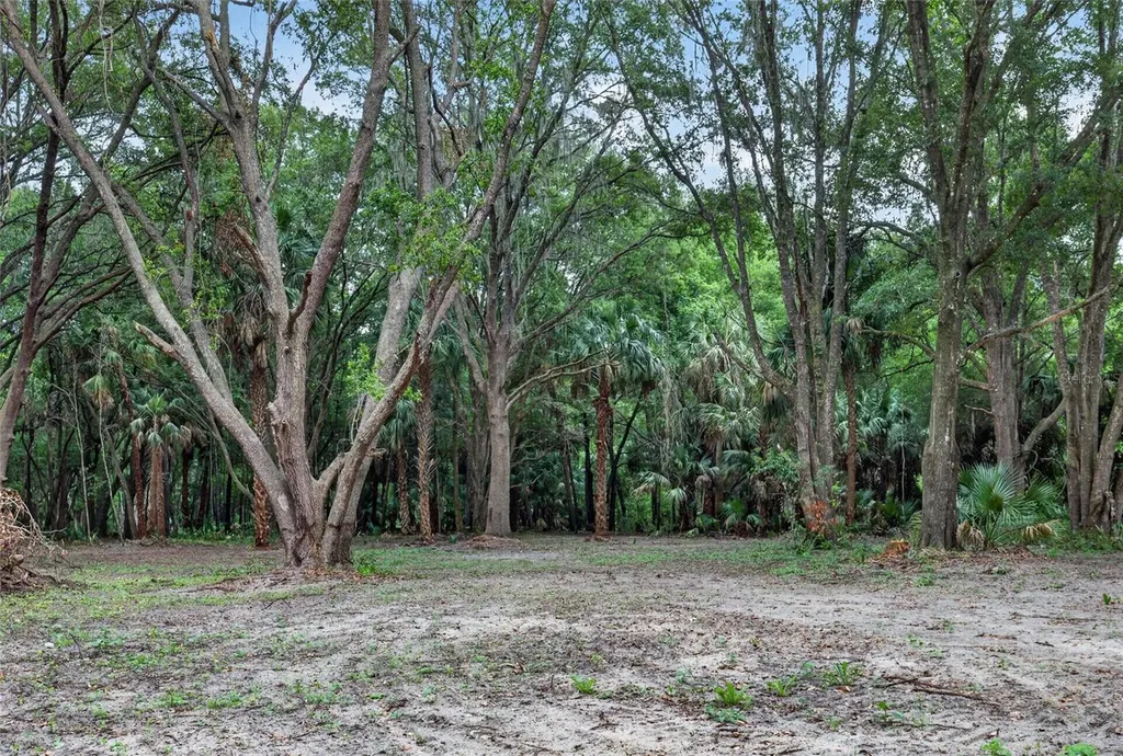 0 N Us Highway 301 Citra FL 32113