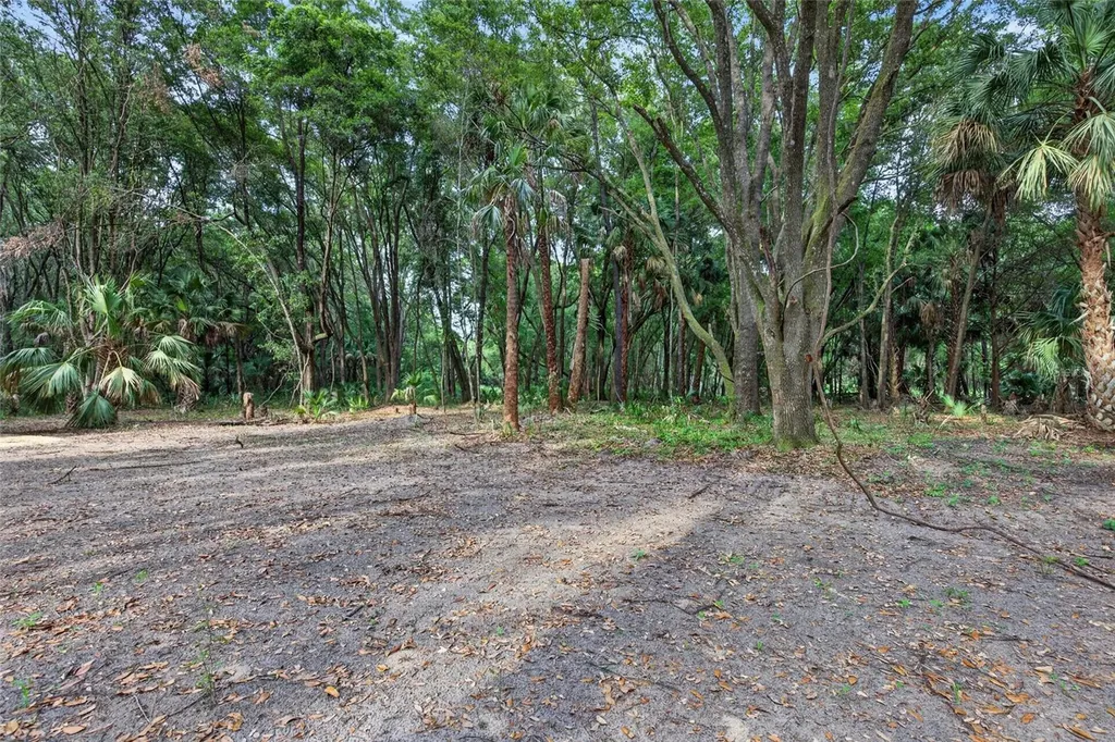 0 N Us Highway 301 Citra FL 32113