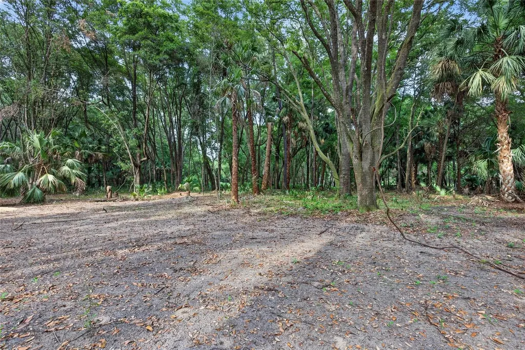 0 N Us Highway 301 Citra FL 32113