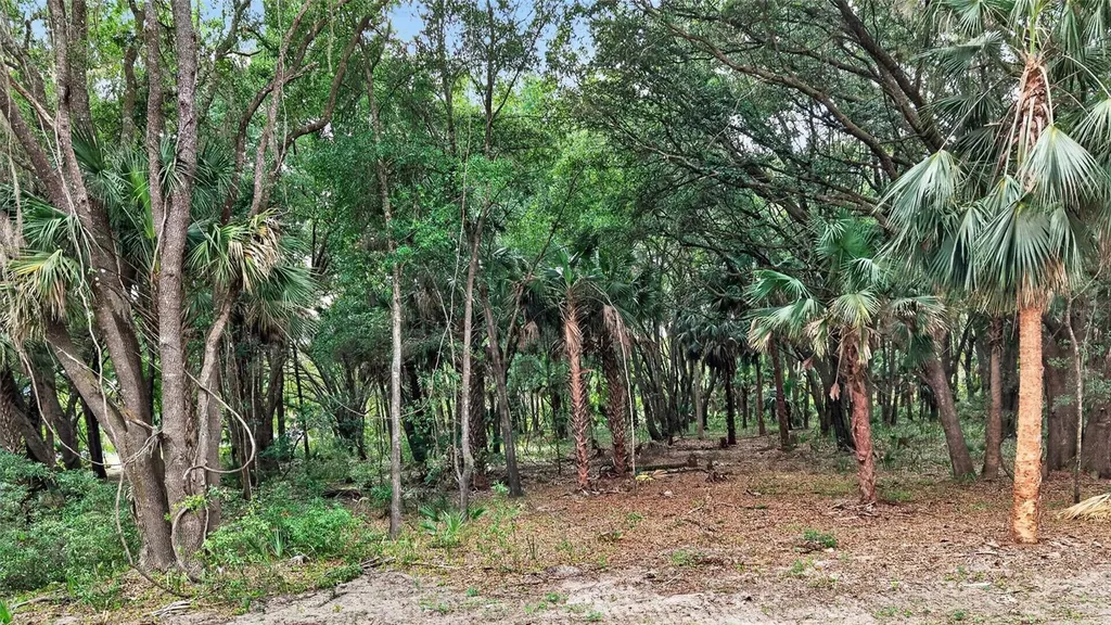 0 N Us Highway 301 Citra FL 32113