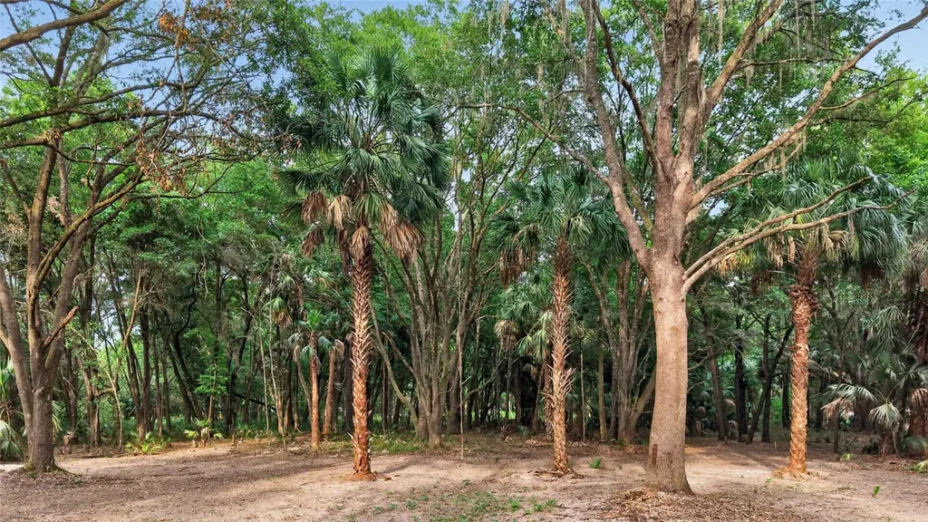 0 N Us Highway 301 Citra FL 32113