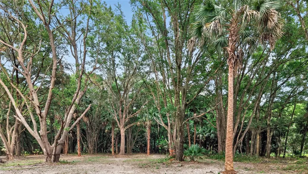 0 N Us Highway 301 Citra FL 32113