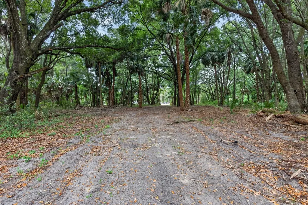 0 N Us Highway 301 Citra FL 32113